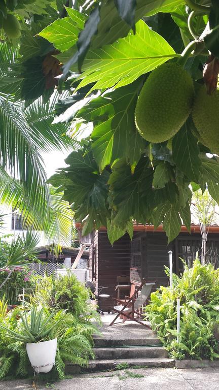 Apartamento Sailodge.Com San Andres  Ruang foto